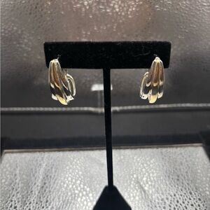 Elegant Silver and Gold Hoop Earrings